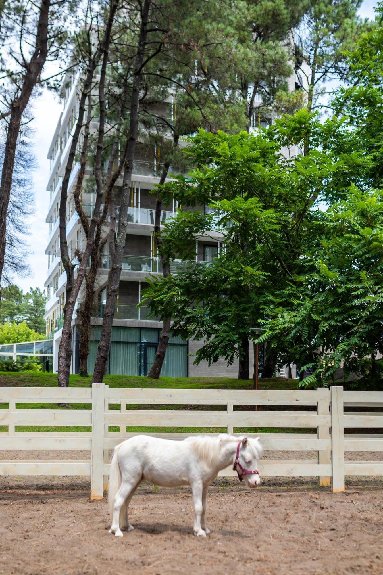 Magnika Resort Šekvetili Exteriér fotografie